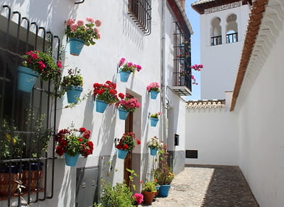 Calles del Albaicín Casas blancas con macetas