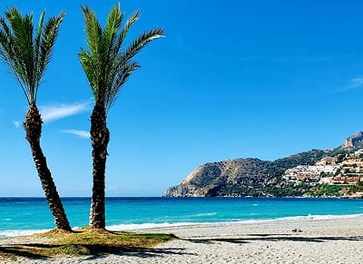 Dos palmeras y la playa de La Herradura